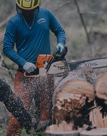 Man cutting a downed tree with chainsaw