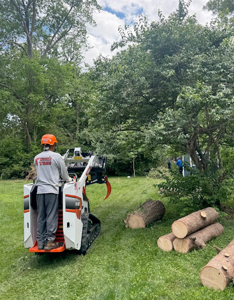 Storm Damage Cleanup in Fairfax, VA
