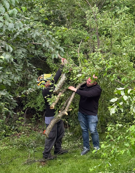 Tree trimming on residential property